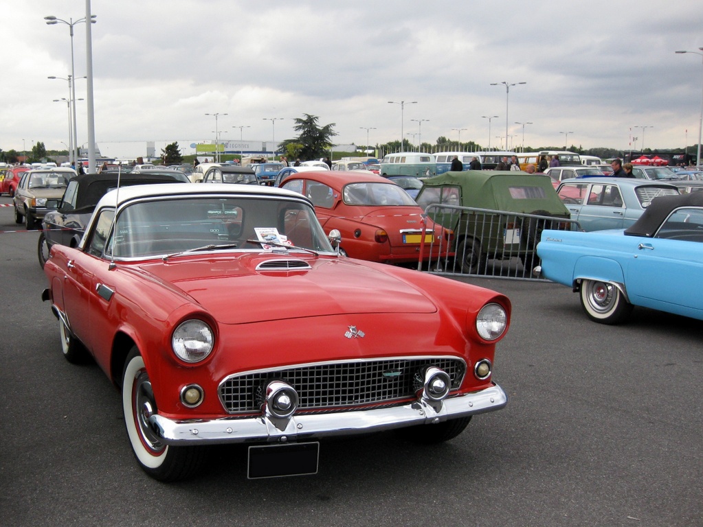 automedon 2013 81