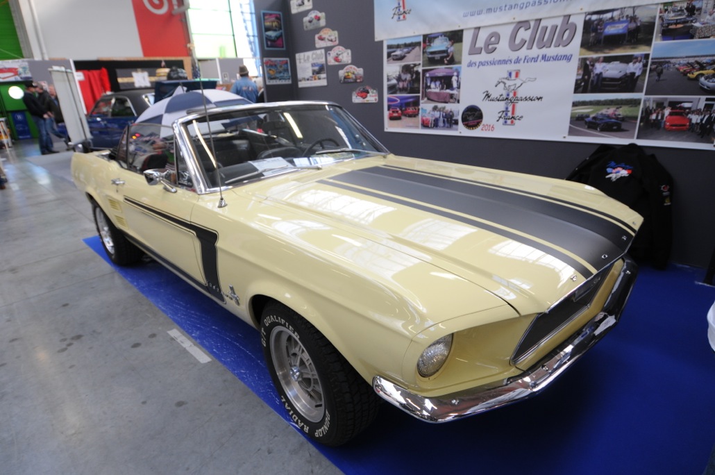 Automédon 2015 (152)