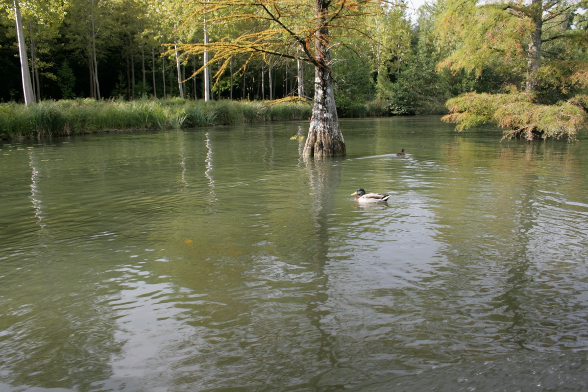 La sortie 2014 (62) 