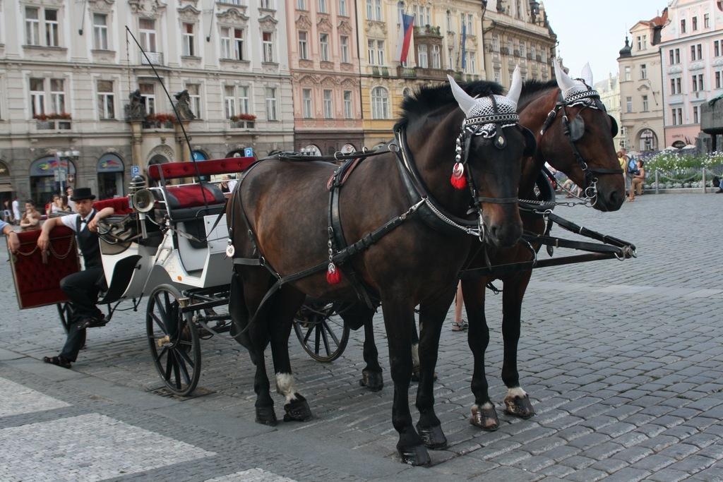 Prague (103) 