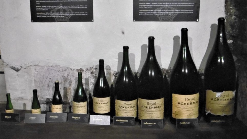 Saumur 086 