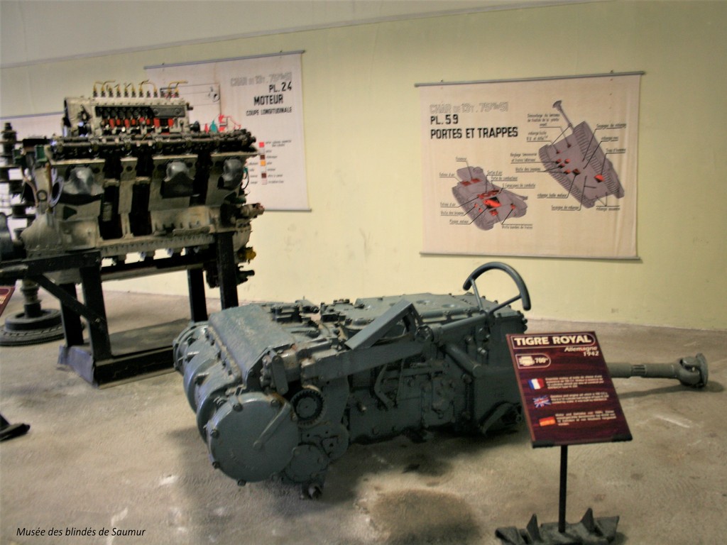 Saumur 169 